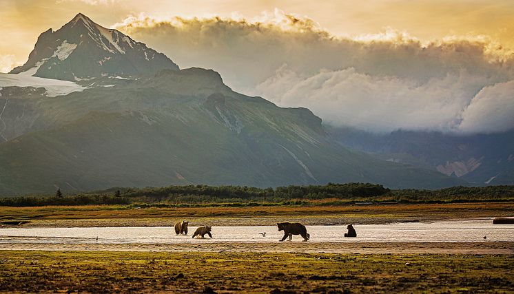 Alaska©GettyImages-519098442