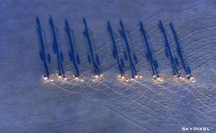 2018 SkyPixel Contest-Photo Group-Second Prize-Fun-Burden salt harvest