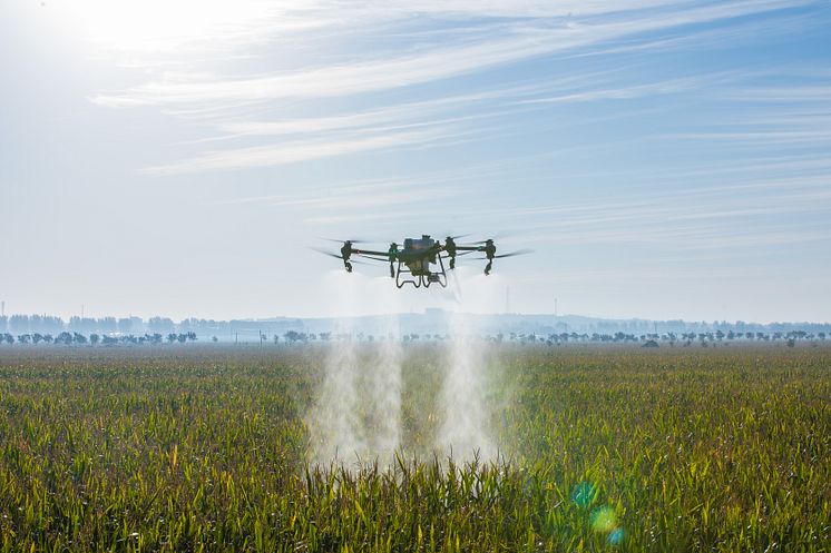 DJI Agras T50-1.jpg