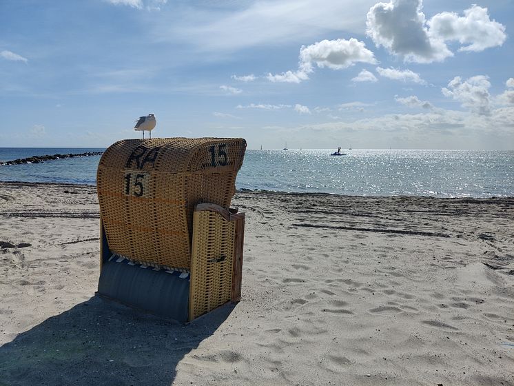 Strandkorb mit Möwe