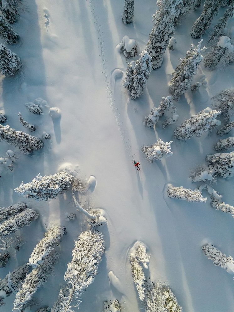 vinter 2