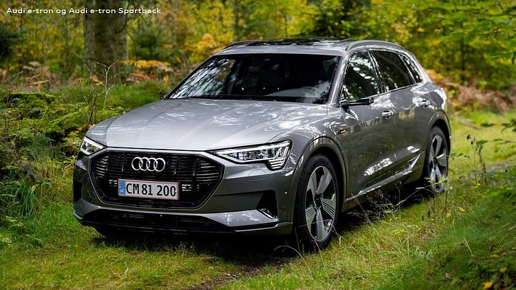 Audi e-tron (low res)