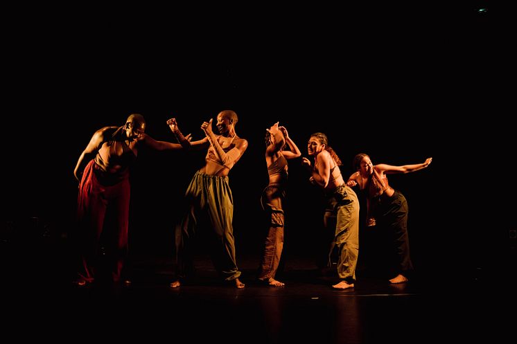 Company Nicolas Huchard - The barefoot diva