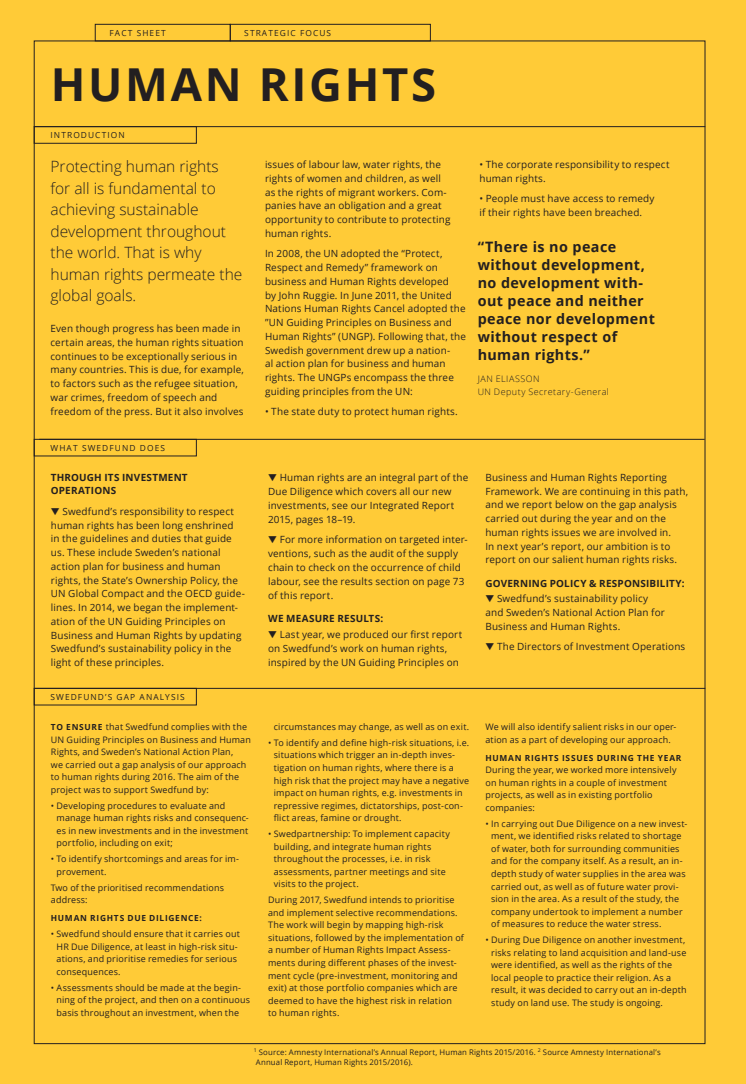 Swedfund fact sheet on Human Rights