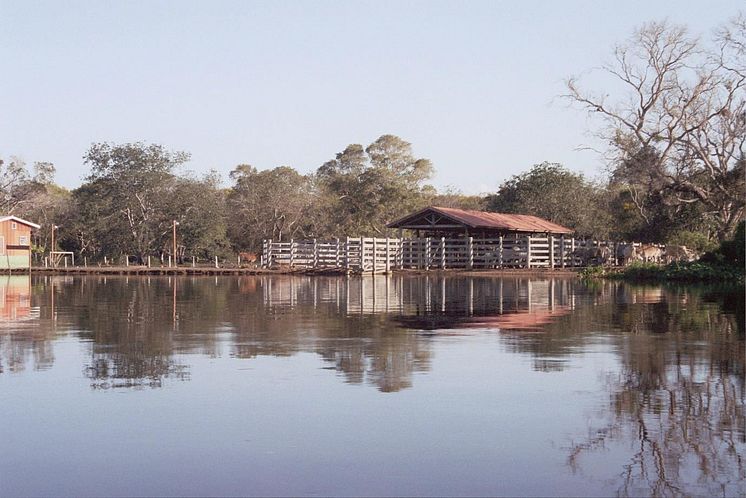 Newton Research in Brazil