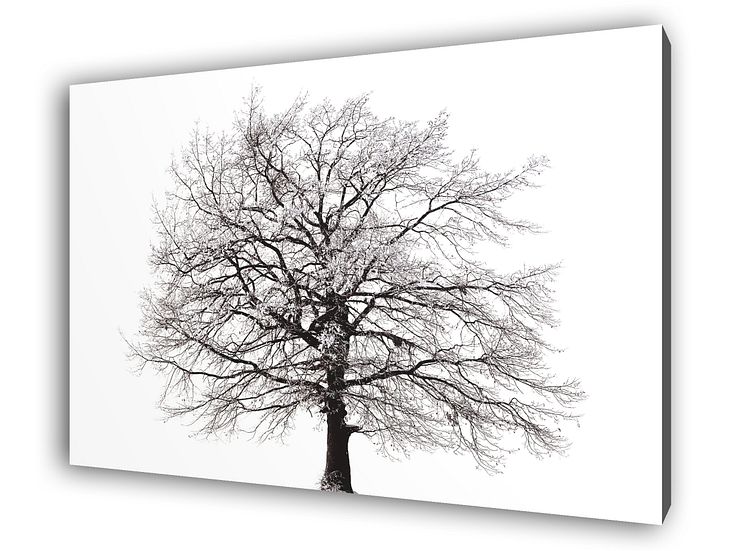 Lindab Art - Fasadkassett med träd som motiv
