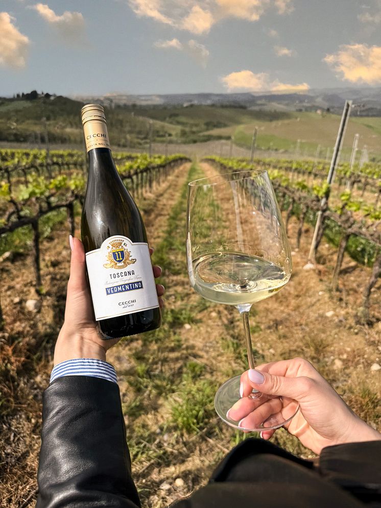No 11 Toscana Vermentino_Cecchi.jpg