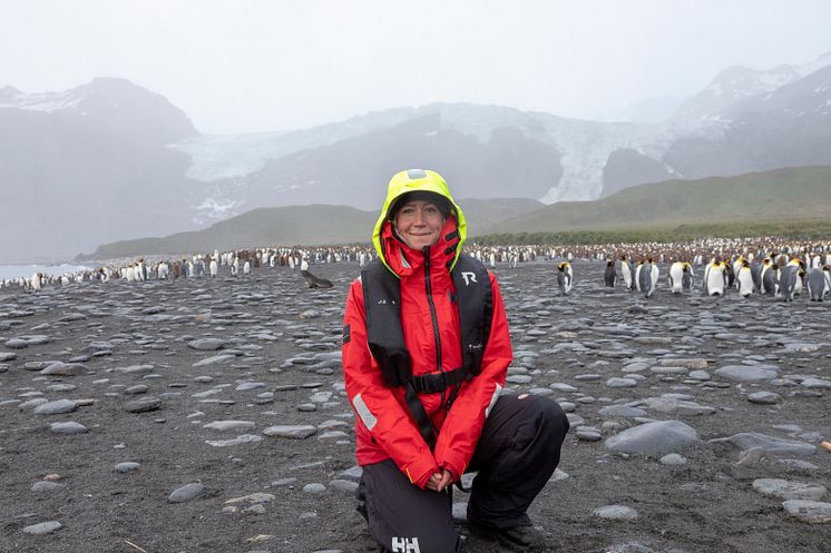 Penguins-Gold-Harbor-South-Georgia-HGR-134247- Photo_Genna_Roland.JPG