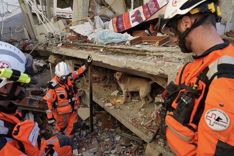 DEF_REDCROSS_SWITZERLAND_310724.jpg