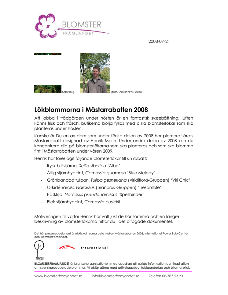 Lökblommorna i Mästarrabatten 2008