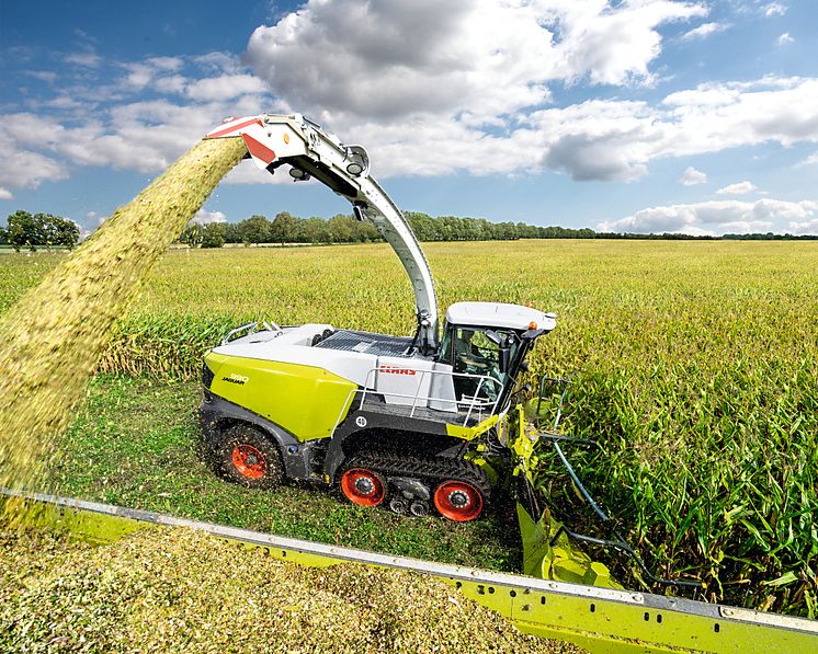 CLAAS JAGUAR 990 TERRA TRAC