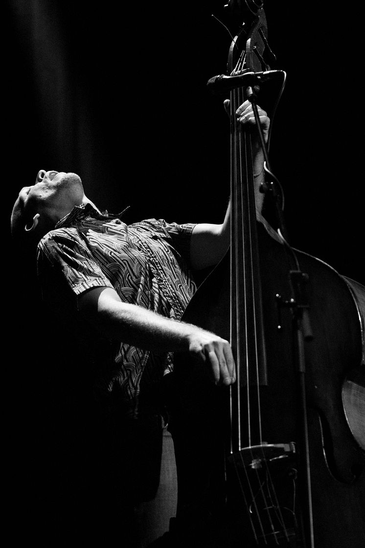 Avishai Cohen, foto Sascha Bullert.