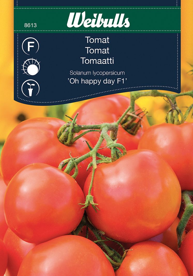 8613_tomat