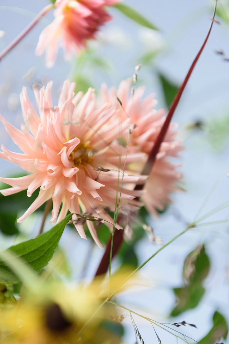 Flexa-Kleur-van-het-Jaar-2022-Bright-Skies-Studio-bloemen