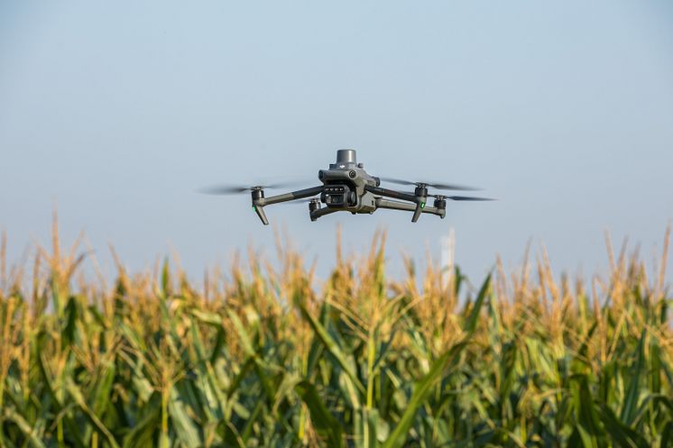 DJI_M3M 4.jpg