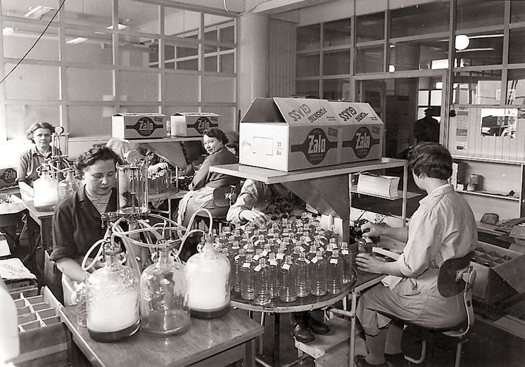 Zalo-produksjon 1953.jpg