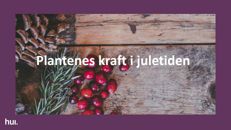 Plantasjens plantetrendrapport – Plantenes kraft i juletiden.pdf