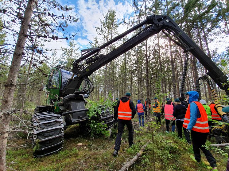 Besök på en av SCA:s gallringsplatser.