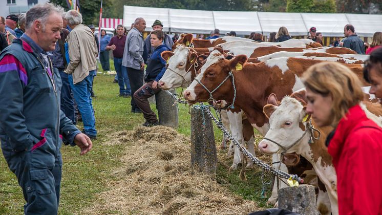 Foire de Chaindon