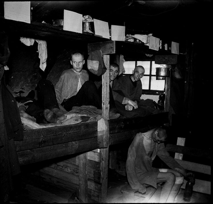 Tvangsarbeidere under 2. verdenskrig 