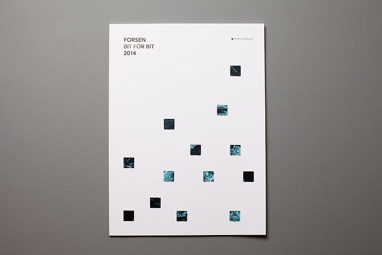 Forsen Annual Report 2014 (bild)