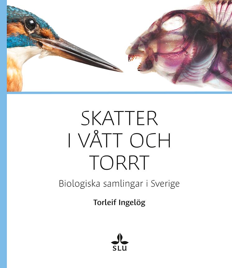 Skatter i vått och torrt. Biologiska samlingar i Sverige.