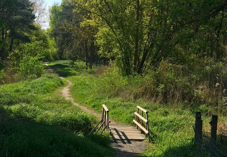 Naturpark Barnim_TMB-Fotoarchiv_Birgit_Kunkel (1)