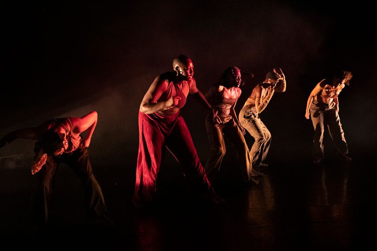 Company Nicolas Huchard - The barefoot diva