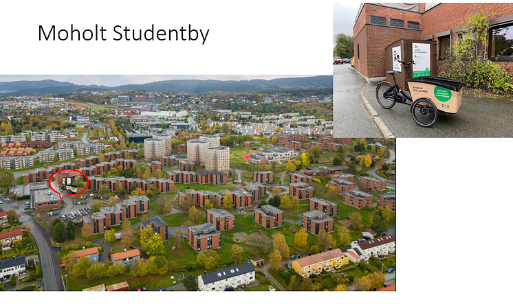 Moholt Studentby