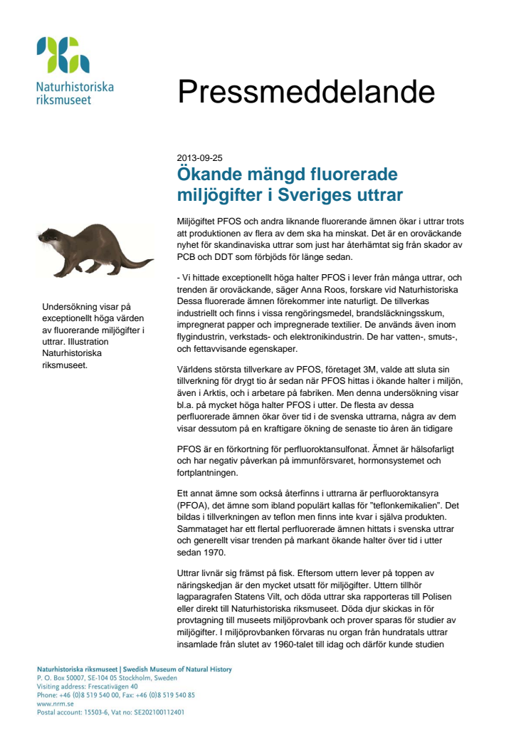 Ökande mängd fluorerade miljögifter i Sveriges uttrar