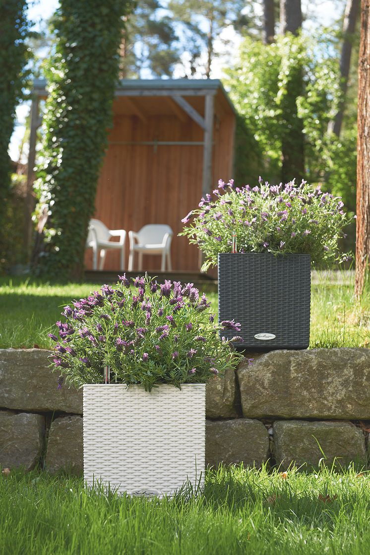 Urban Gardening mit CUBE Cottage