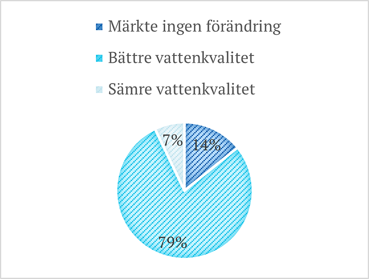 Bild5