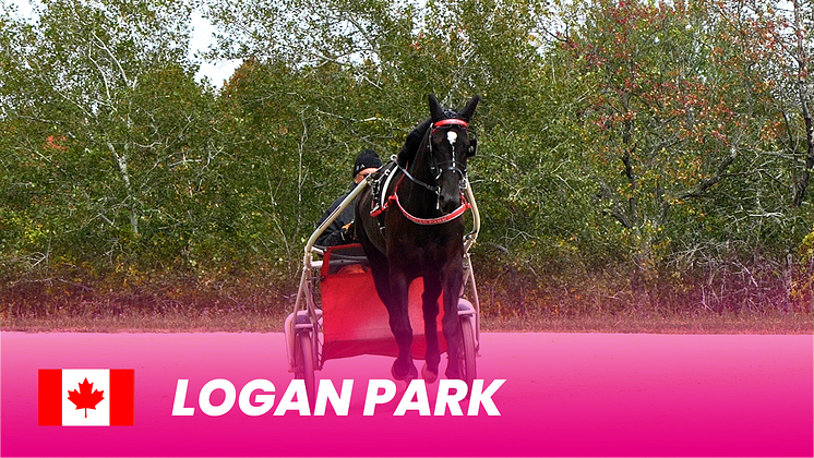 Logan Park_1920x1080.png