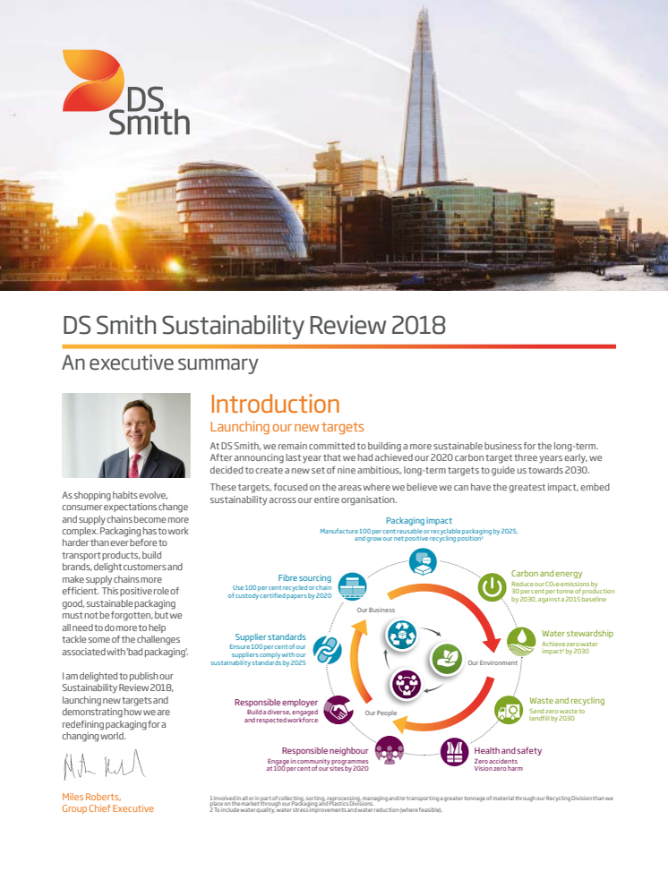 DS Smith Sustainability review executive summary 2018