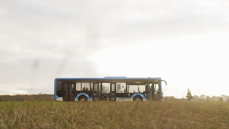 Buss landsbygd