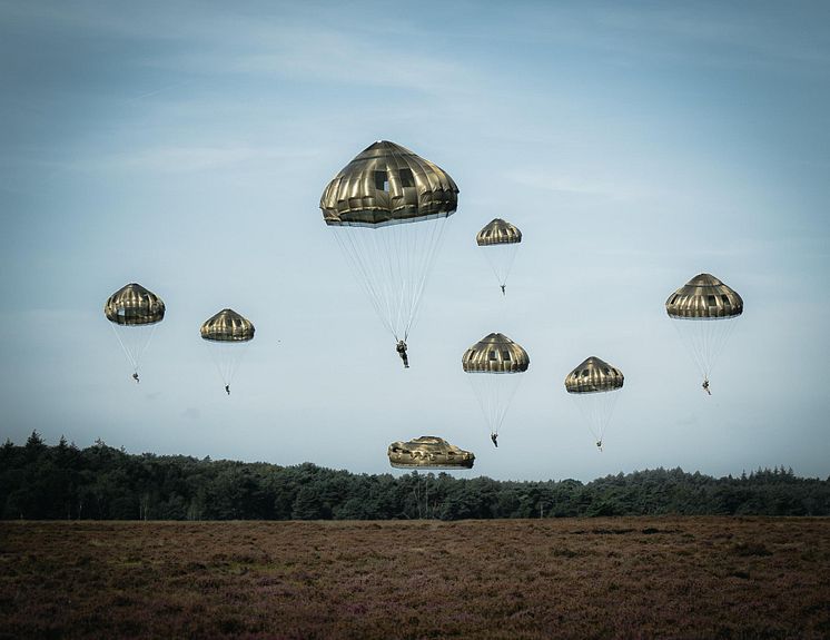 173rd Airborne Brigade_ Falcon Bild 2 Foto US Army.jpg