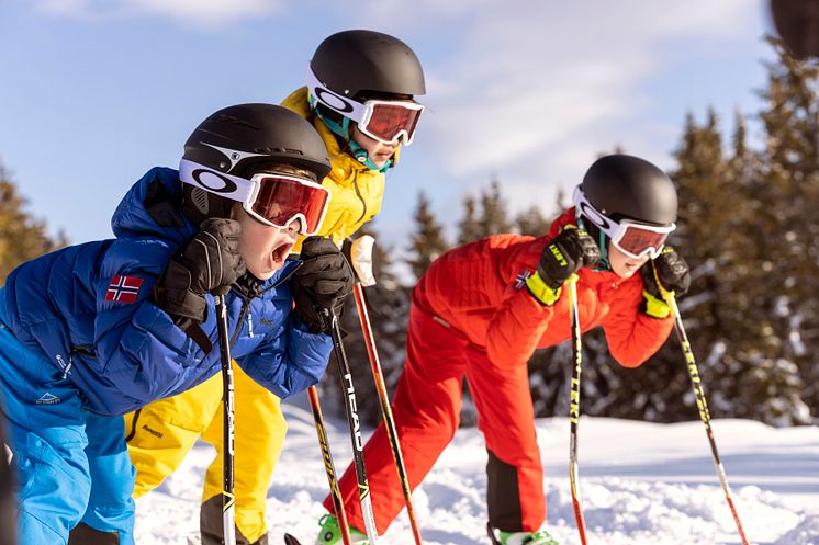 Mini masterclasses in alpine skiing in Norway - online