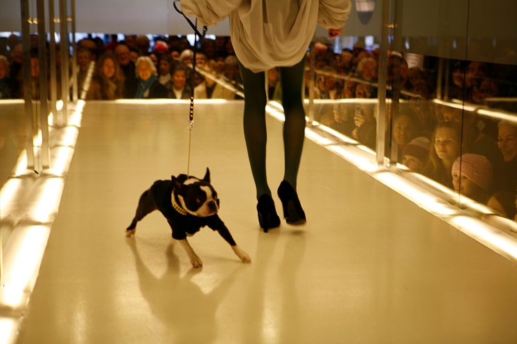 Dogs On Catwalk - NK Stockholm