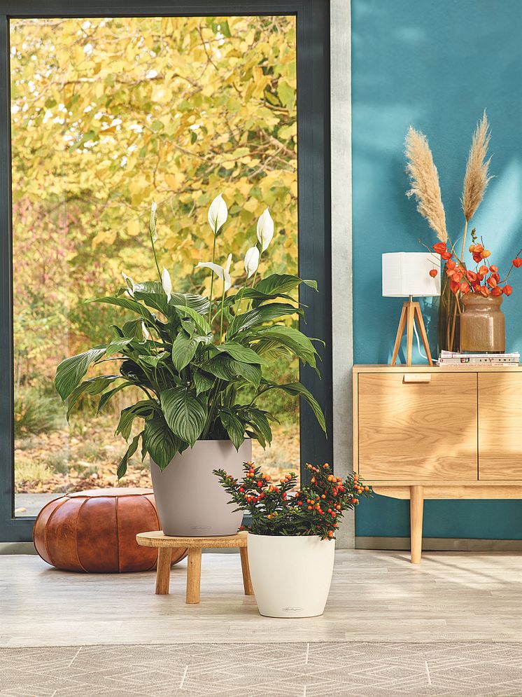 Stilvolle Herbstdeko für Ihr Zuhause