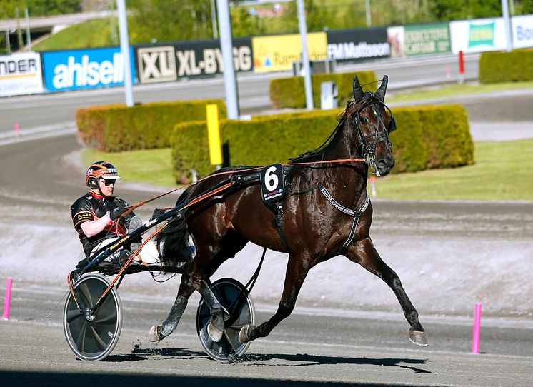 Milliondollarrhyme klar för Elitloppet 2021.