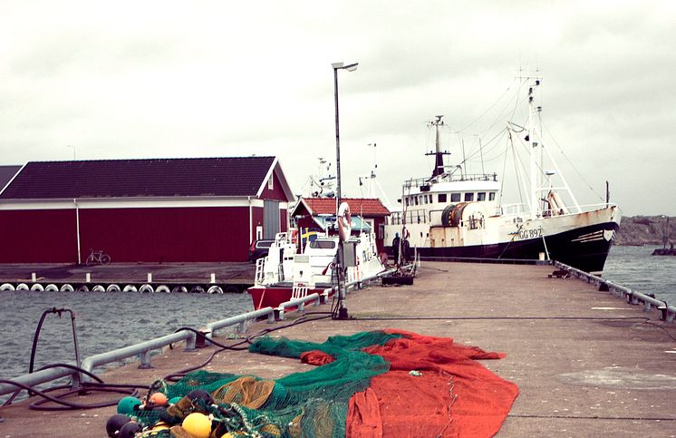 Kvoterna för 2016 års fiske i Västerhavet klara