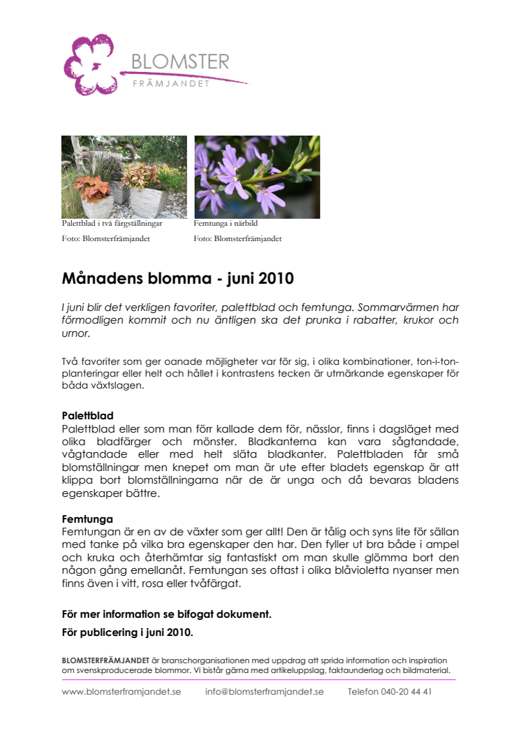 Månadens blomma - juni 2010