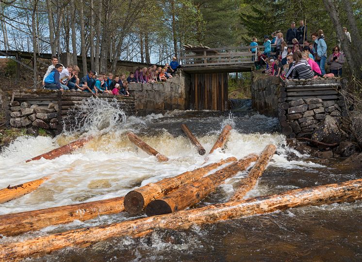 Tømmerfløting ved Anno Norsk skogmuseum