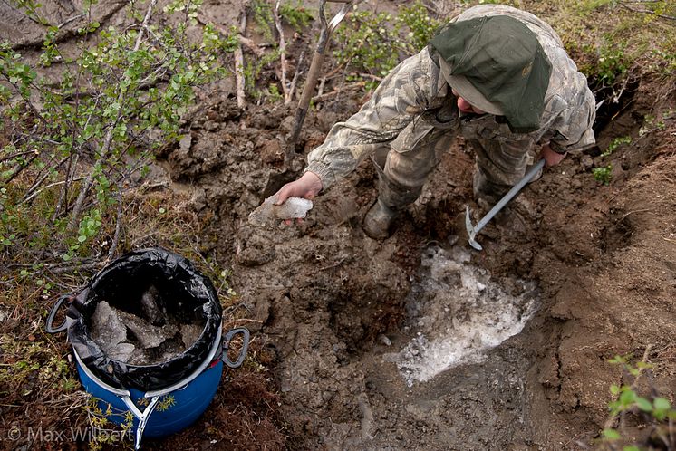 Permafrost in the Arctic soil