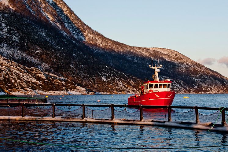 Cermaq Norway