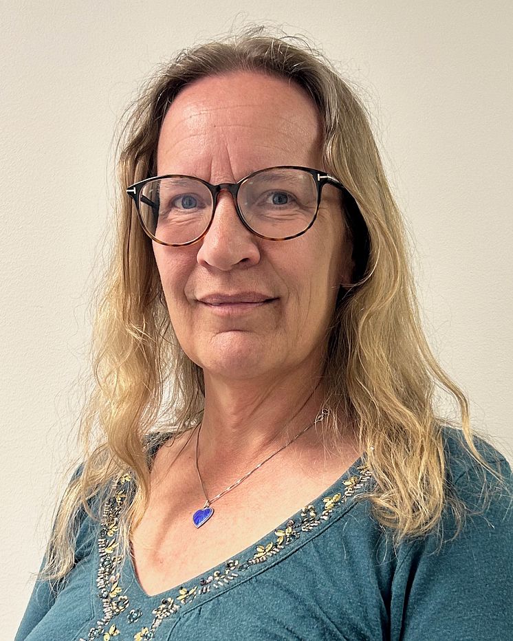 Gry_Frellumstad (2).jpg