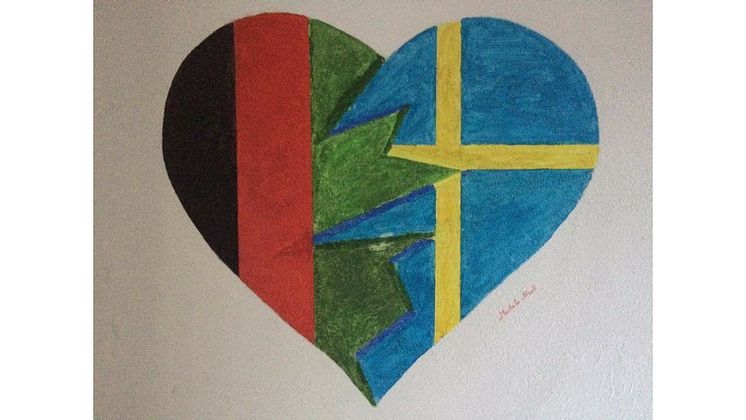 Sverige Afghanistan hjärta