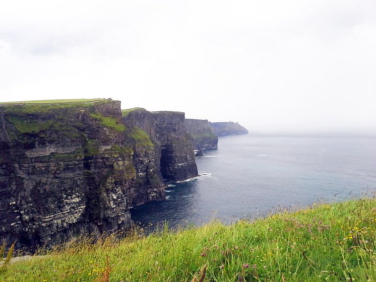 Cliffs of Moher Ölvemarks Holiday