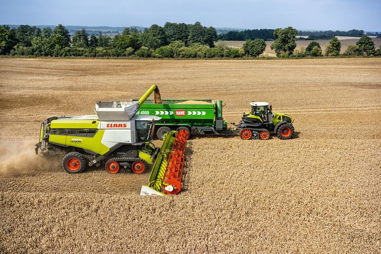 382379 LEXION combine harvester