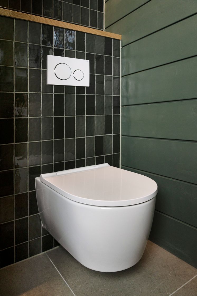Geberit Sigma 20 -huuhtelupainike ja seinä-wc-istuin.jpg